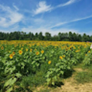 Meet your Posher, Shawn